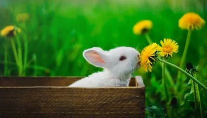 当模特要具有什么特点。